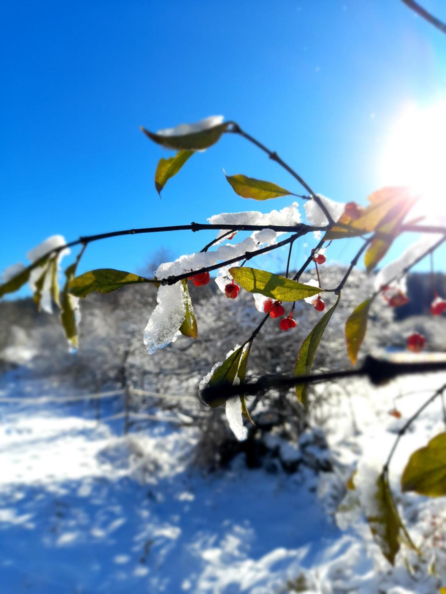 Stara Hiza Villa Lanisce Dış mekan fotoğraf